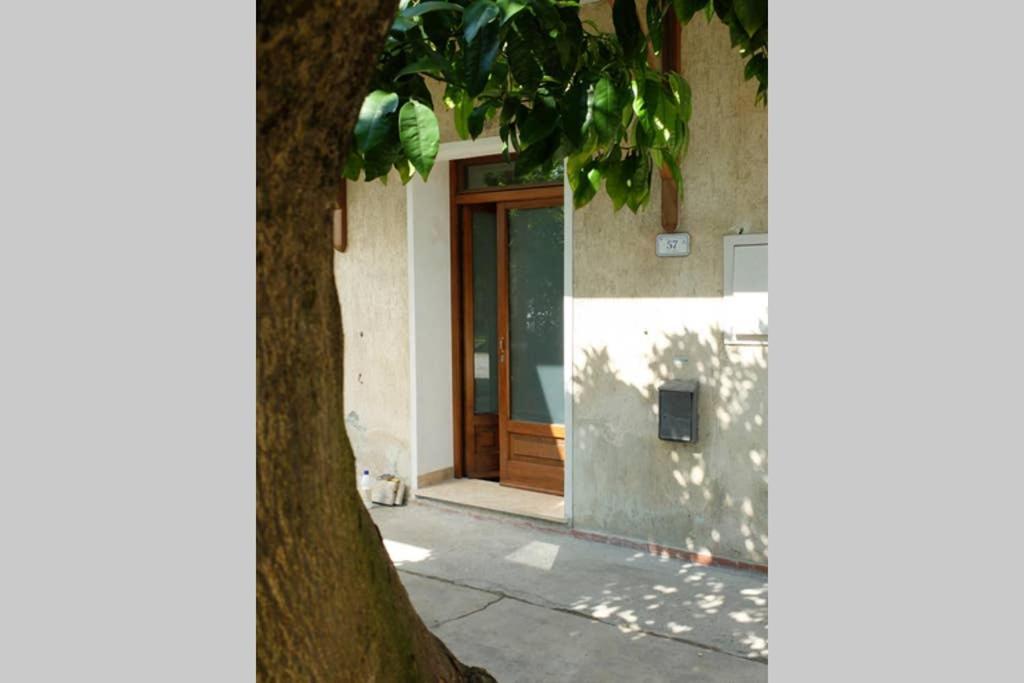 La Casina Di Bruna Mommio 外观 照片