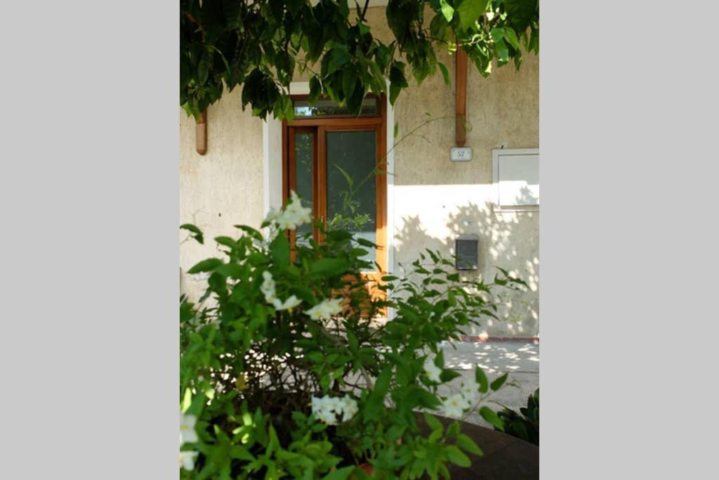 La Casina Di Bruna Mommio 外观 照片