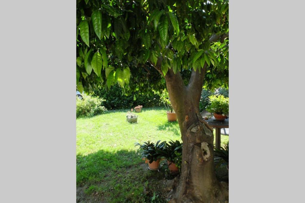 La Casina Di Bruna Mommio 外观 照片