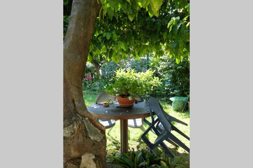 La Casina Di Bruna Mommio 外观 照片