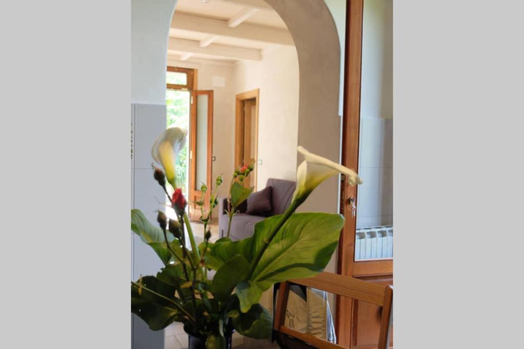 La Casina Di Bruna Mommio 外观 照片